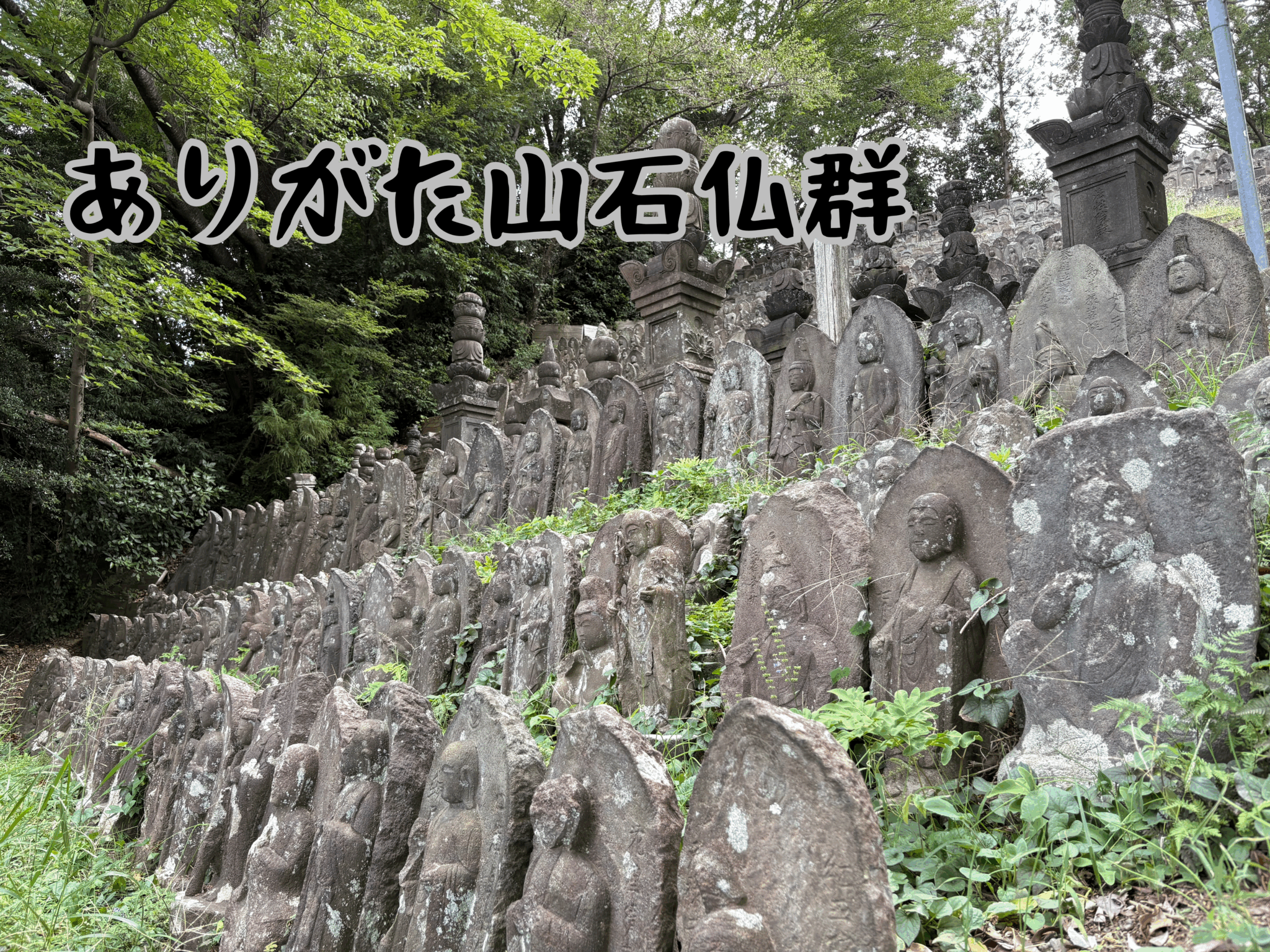 【ありがた山石仏群 】4000超の無縁仏を見に行く | 怖がりの旅ブログ